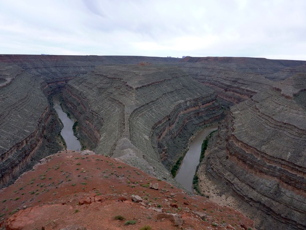gooseneck (10).JPG